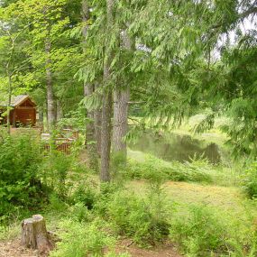 Bild von Mt Hood Village Campground