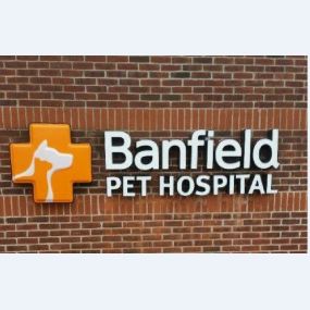 Banfield Pet Hospital® - Valley Stream