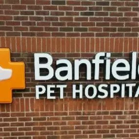 Banfield Pet Hospital® - Valley Stream