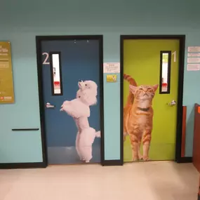 Bild von Banfield Pet Hospital