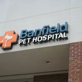 Banfield Pet Hospital - Brighton