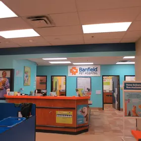 Bild von Banfield Pet Hospital