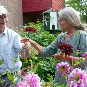 Bild von Ontmoetingscentrum Naaldwijk