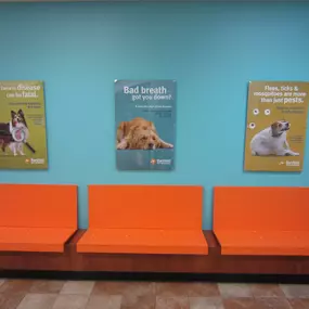 Bild von Banfield Pet Hospital