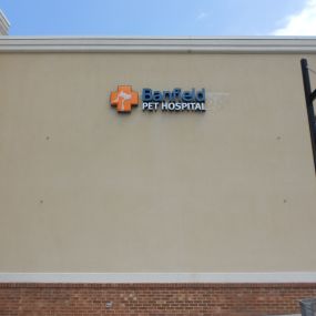 Banfield Pet Hospital® - Mooresville