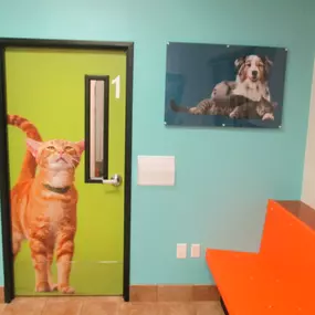 Bild von Banfield Pet Hospital