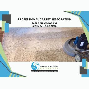 professional carpet restoration