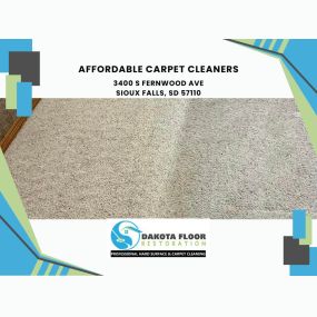 affordable carpet cleaners