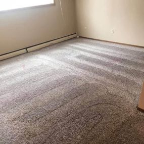 floor carpet cleaning