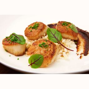 Sea Scallops