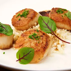 Sea Scallops