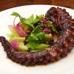 Grilled Octopus