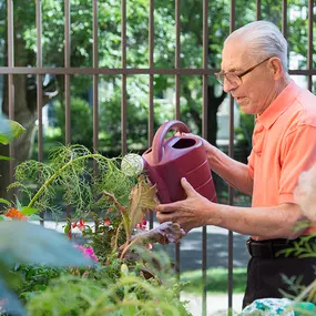 Connect with nature in our serene outdoor spaces at The Willows of Ramsey Hill.