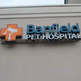 Banfield Pet Hospital® - Superior