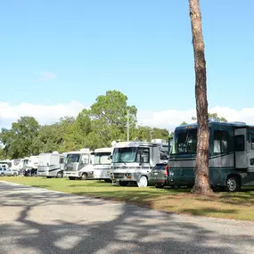 Bild von Encore Southern Palms