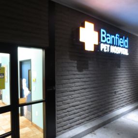 Banfield Pet Hospital - Concord