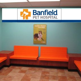 Bild von Banfield Pet Hospital