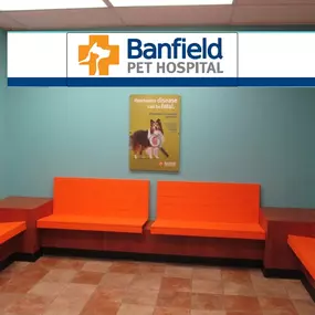 Bild von Banfield Pet Hospital