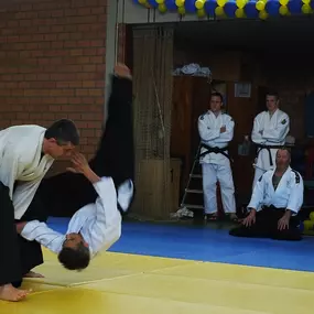 aikido