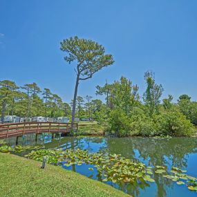 Bild von Whispering Pines Campground