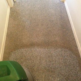 The color of your carpet might surprise you... book a cleaning asap!