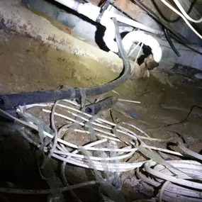 Bild von Force Plumbing and Heating LLC