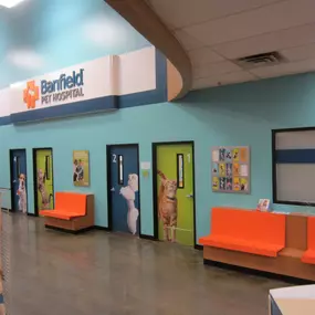 Bild von Banfield Pet Hospital