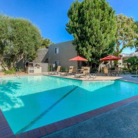 Shimmering Swimming Pool with Sundeck