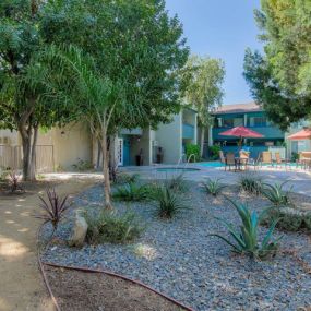 Landscaped Garden in Courtyard