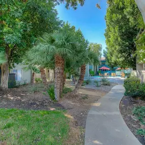 Shaded, Scenic Walkway