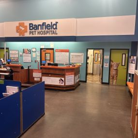 Bild von Banfield Pet Hospital