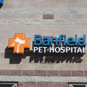 Banfield Pet Hospital - Albuquerque Northwest