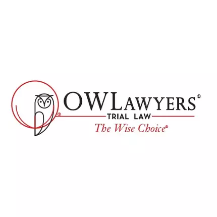 Λογότυπο από OWLawyers®