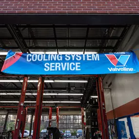 Bild von Tire Discounters