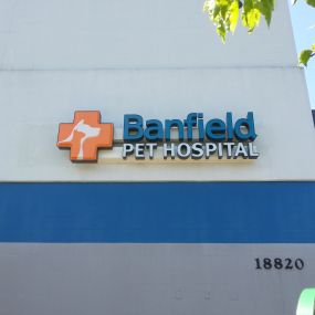 Banfield Pet Hospital - Lynnwood