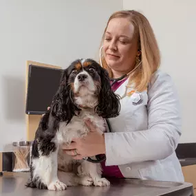 Bild von Banfield Pet Hospital