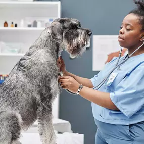 Bild von Banfield Pet Hospital