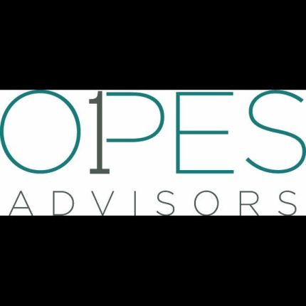 Logo from Opes One