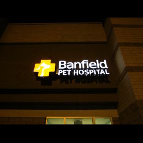 Banfield Pet Hospital - Plymouth