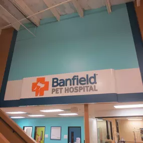 Bild von Banfield Pet Hospital