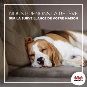 VM Sécurité systèmes de surveillance