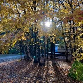 Bild von Lake George Schroon Valley Campground