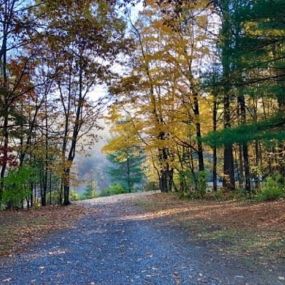 Bild von Lake George Schroon Valley Campground