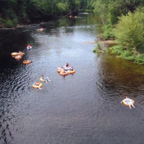 Bild von Lake George Schroon Valley Campground