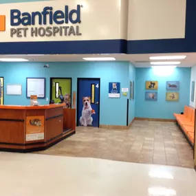 Bild von Banfield Pet Hospital