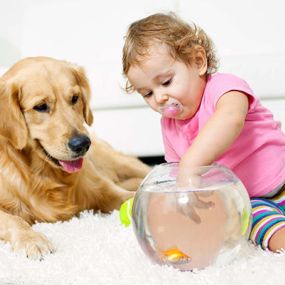 Our carpet cleaning products are safe for your children and pets!