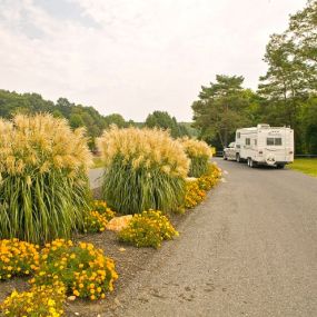 Bild von Spring Gulch Campground