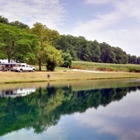 Bild von Spring Gulch Campground