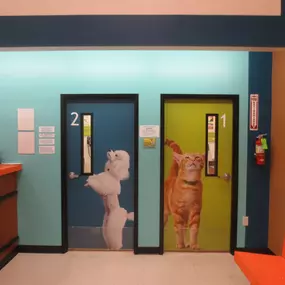 Bild von Banfield Pet Hospital