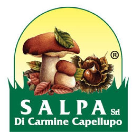 Logotyp från Salpa